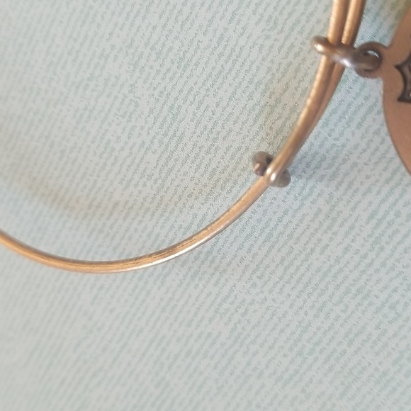 Alex and Ani NFL Giant Bracelet - Picture 7 of 8